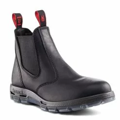 Redback Bobcat In Black